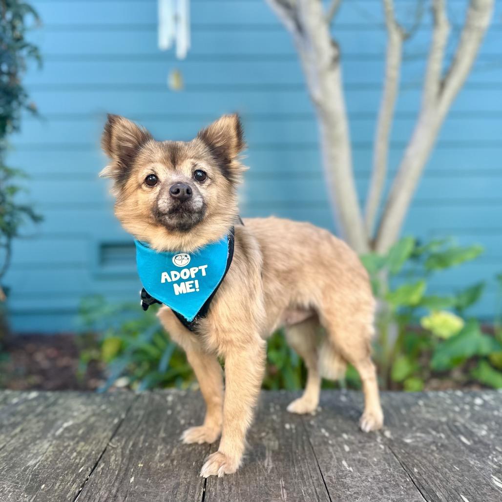 Lovey — thumbnail 3