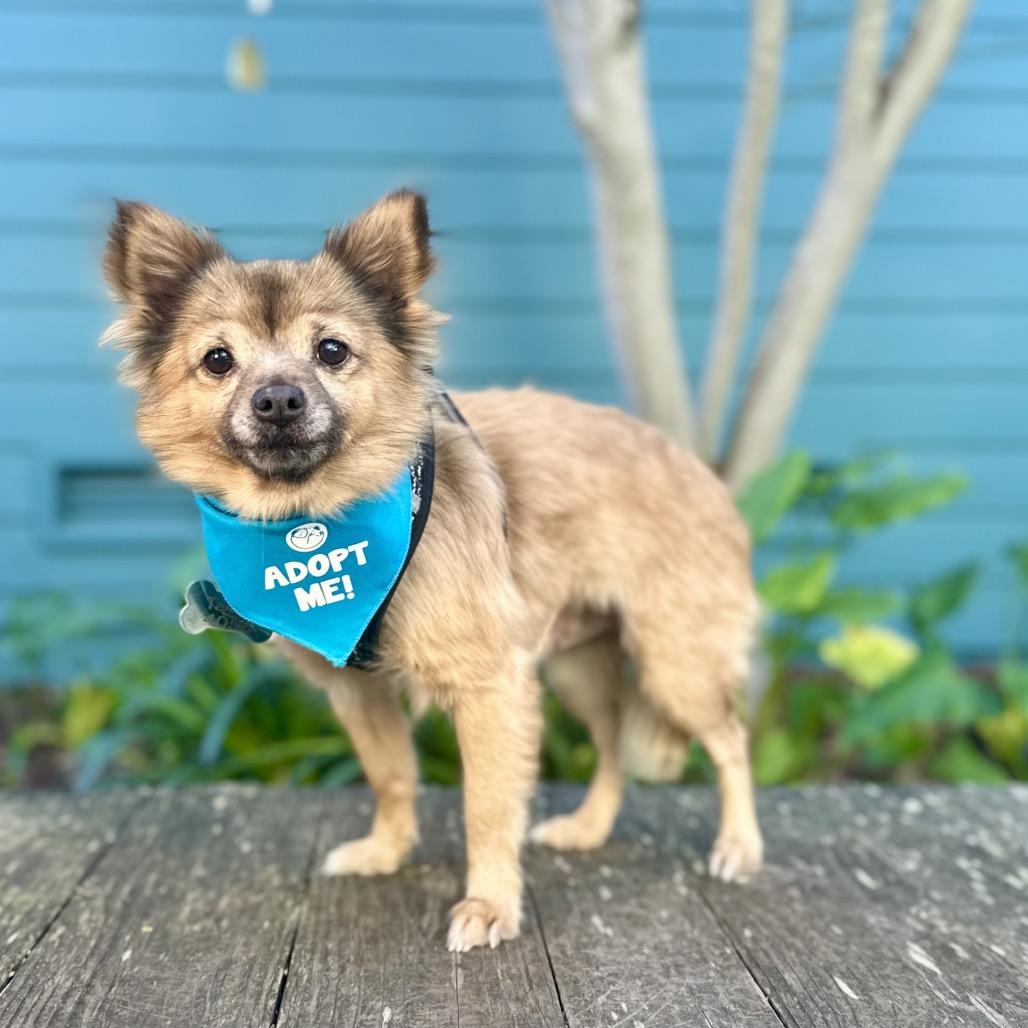 Lovey — thumbnail 5