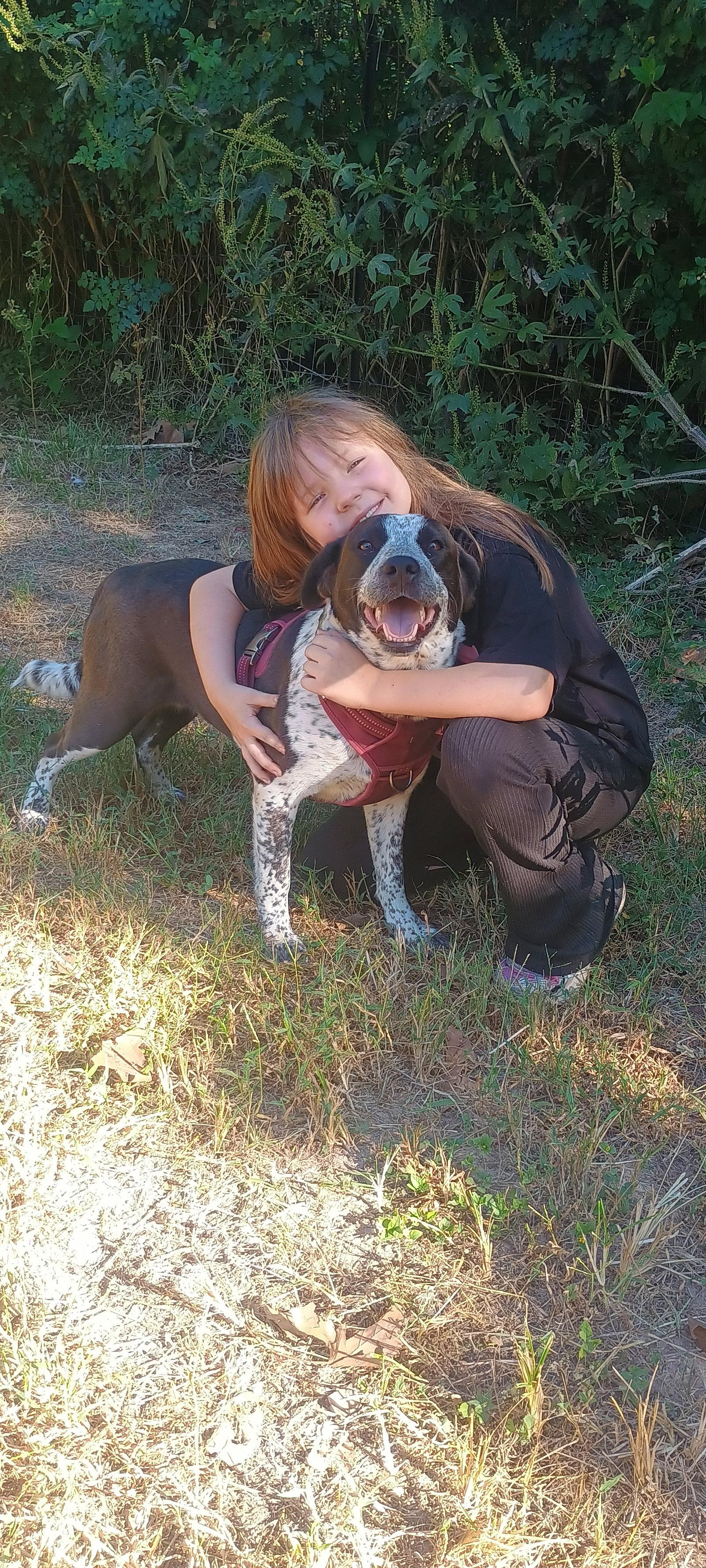 Miss Molly, Adoptable, Adult Female German Shorthaired Pointer.