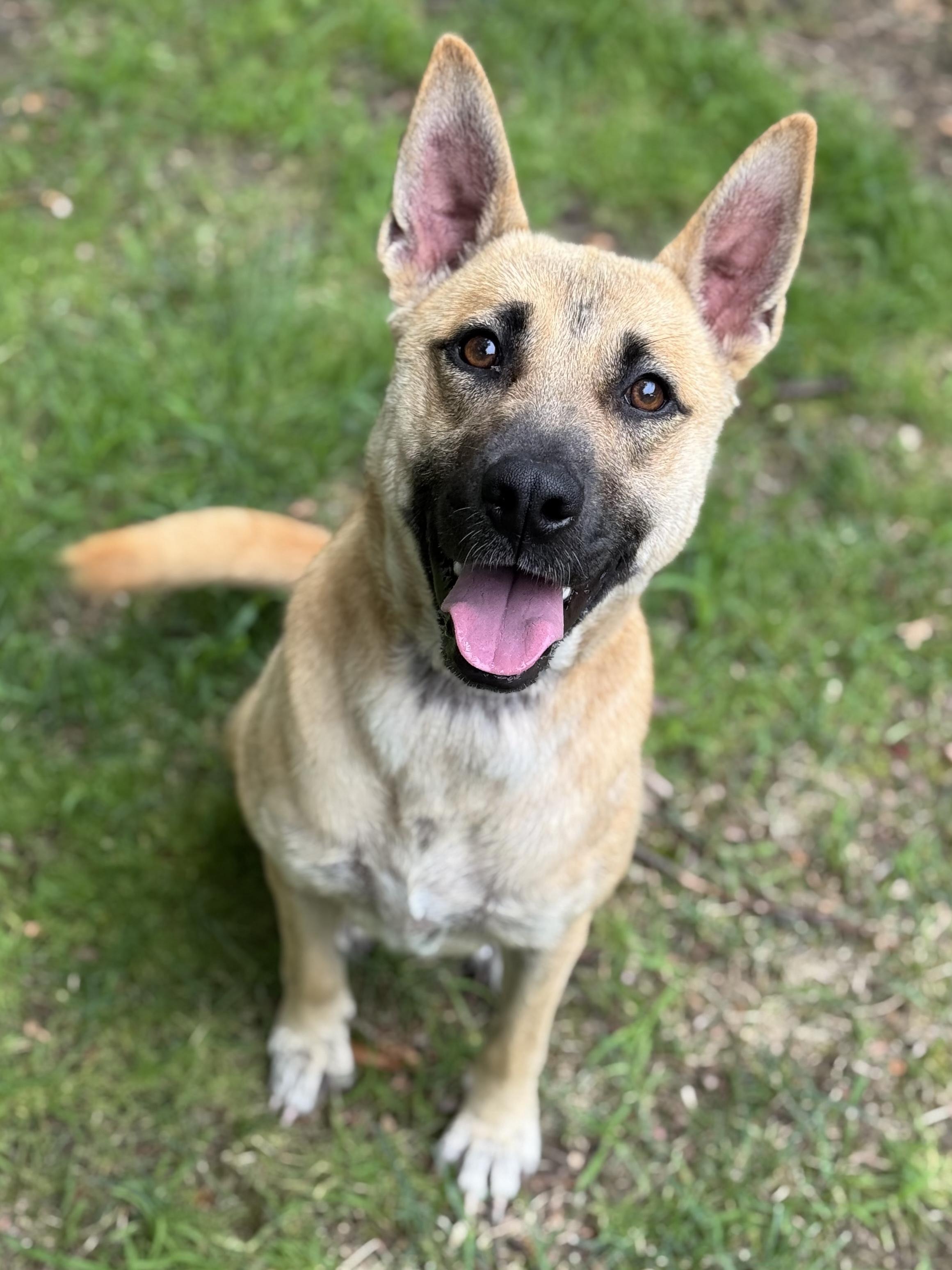 Moon, Adult Female unknown