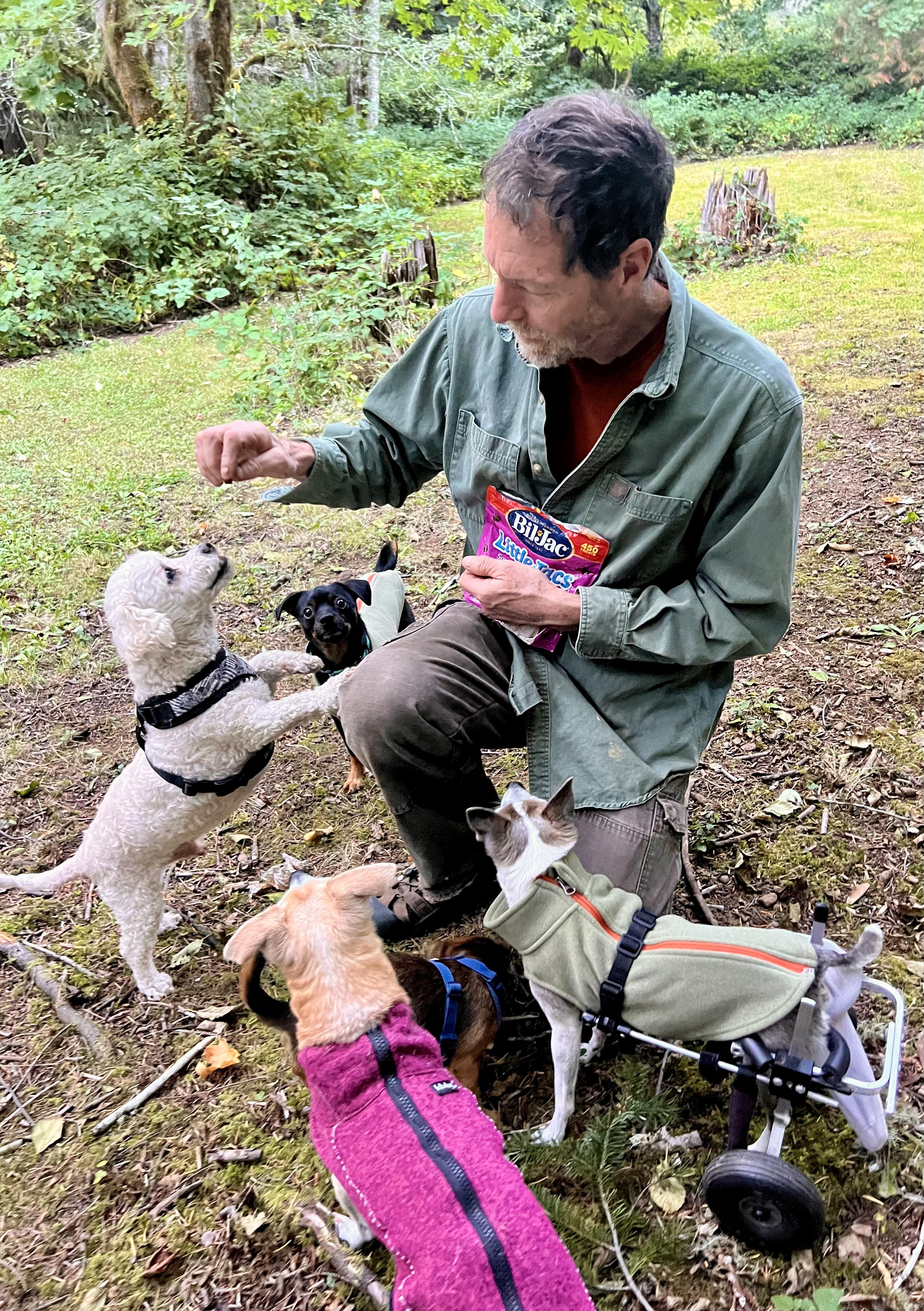 Enlarge Magoo- Local, sweet, spritely, snuggly senior!, an adopted mixed breed in Cascadia, OR image 4/6