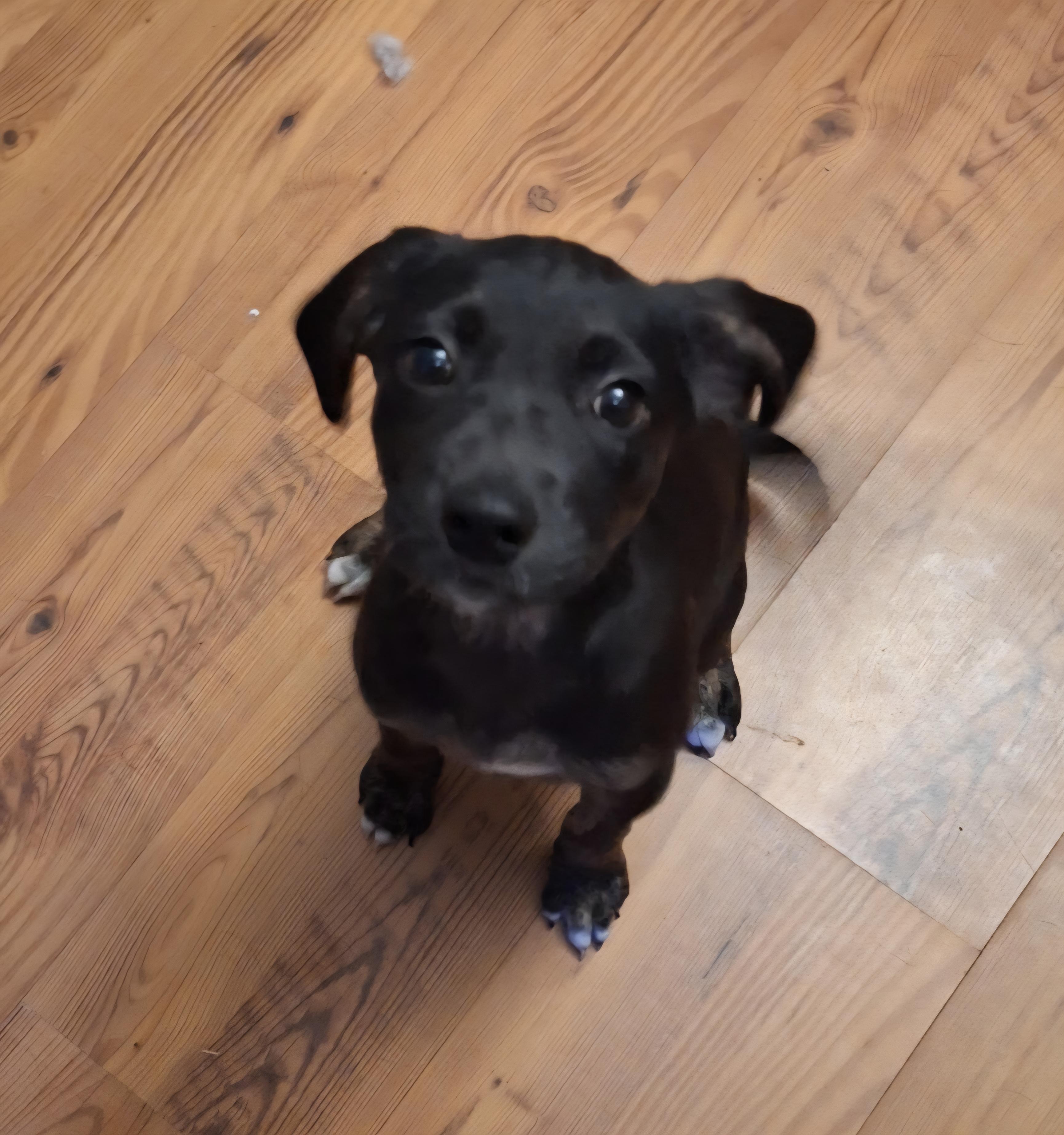 Mia