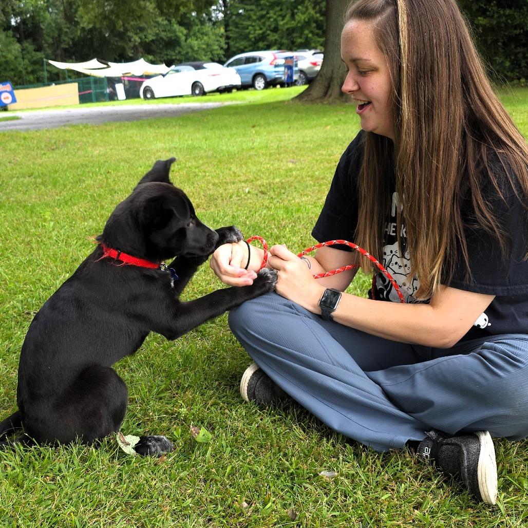 Enlarge Veronica, a Adoptable mixed breed in Michigan City, IN image 5/5