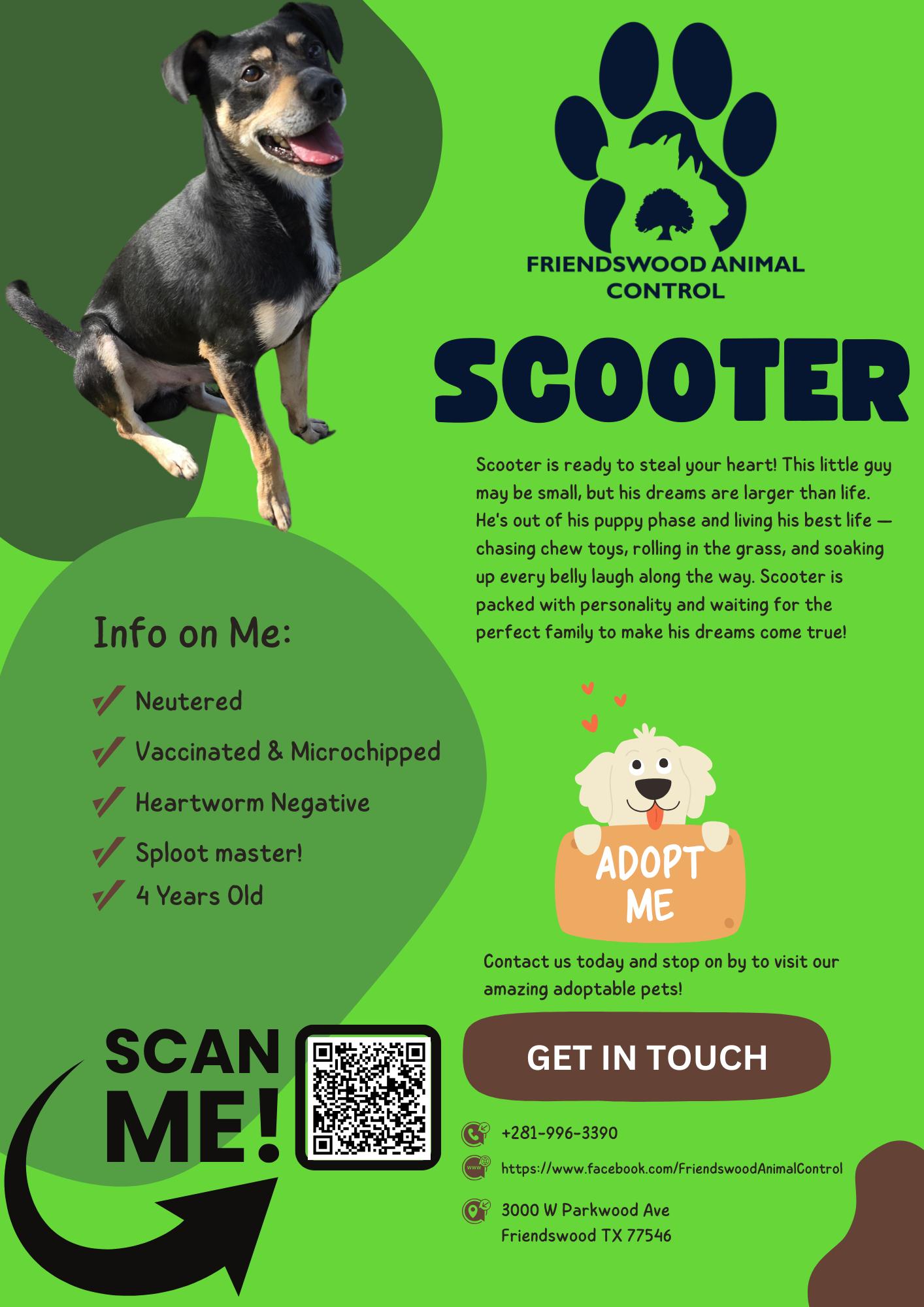 Scooter