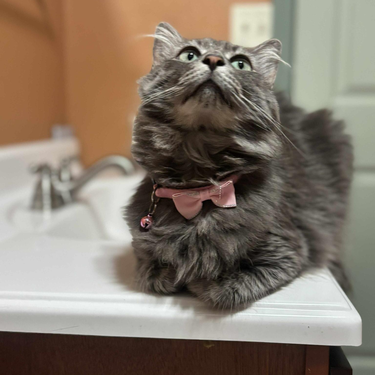 Susan
