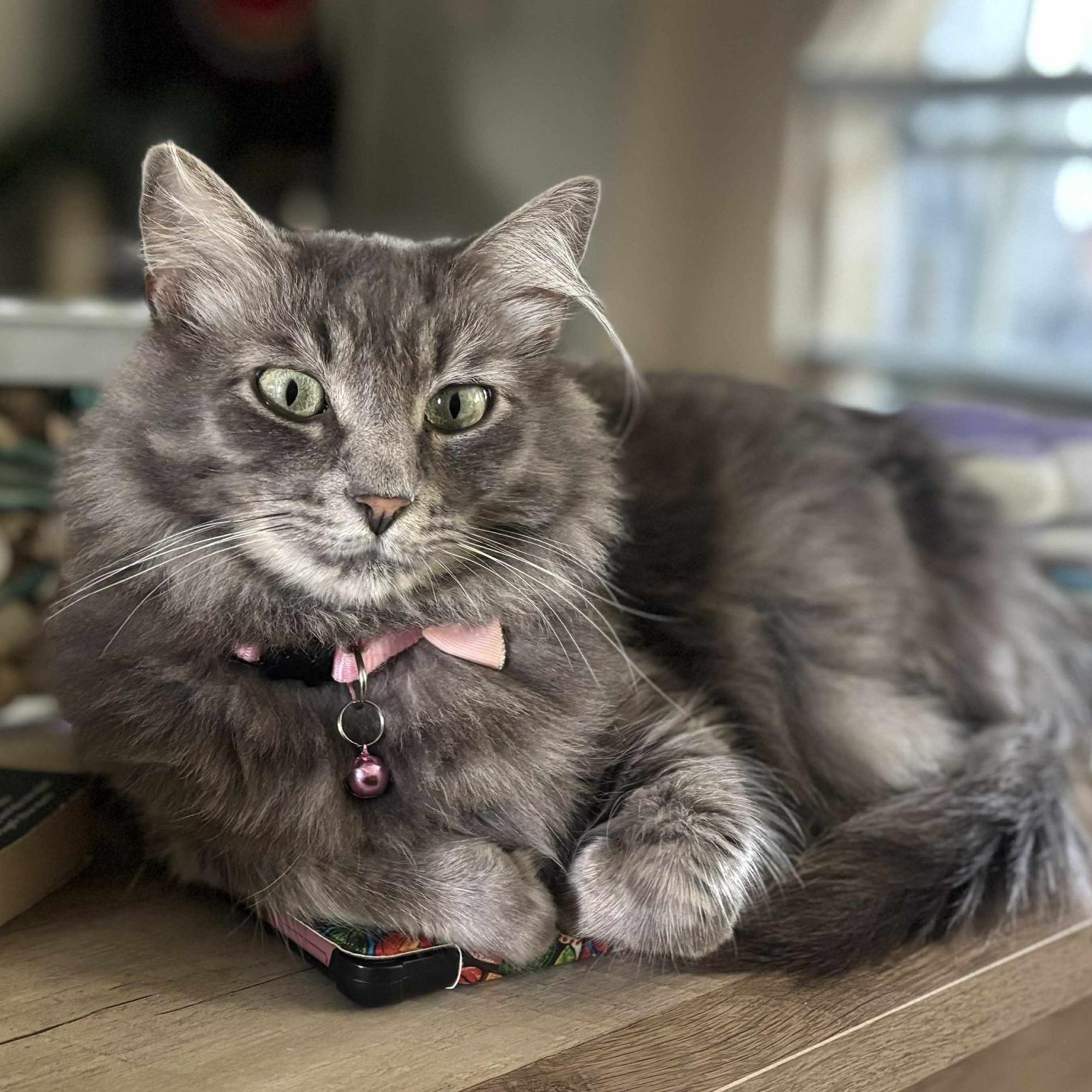 Susan