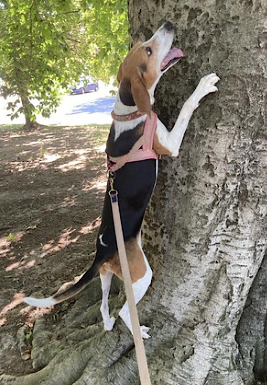 Geneva — thumbnail 2