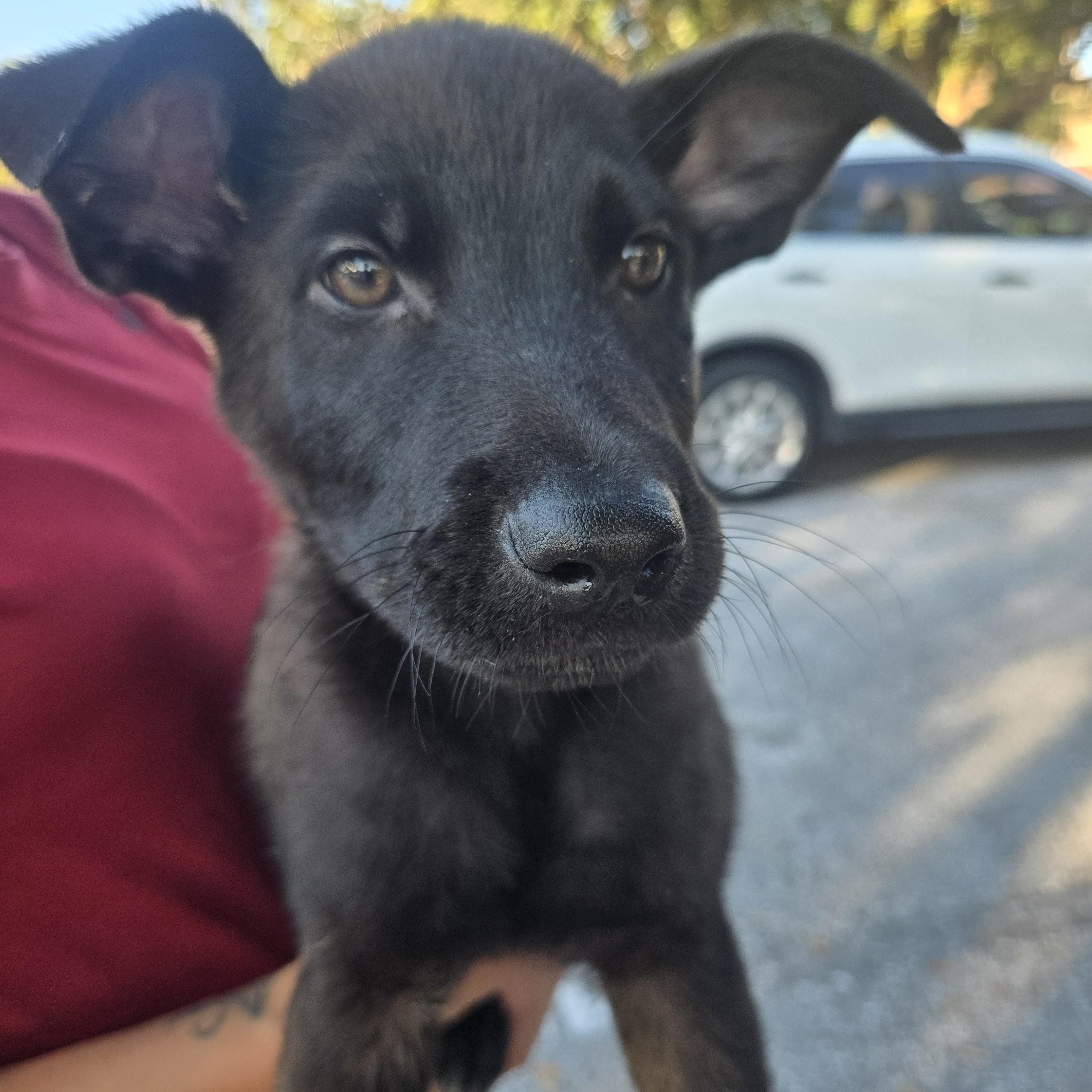 Jardiance thumbnail 2