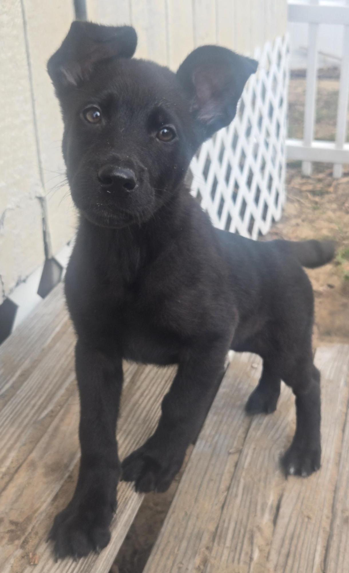 Jardiance thumbnail 3