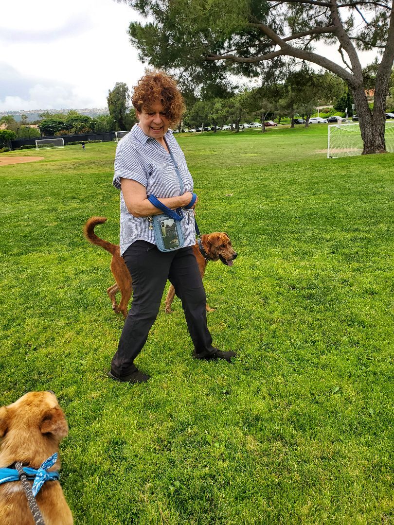 Charlie Brown, you're a good friend, a Adoptable mixed breed in Manhattan Beach, CA image 5/6