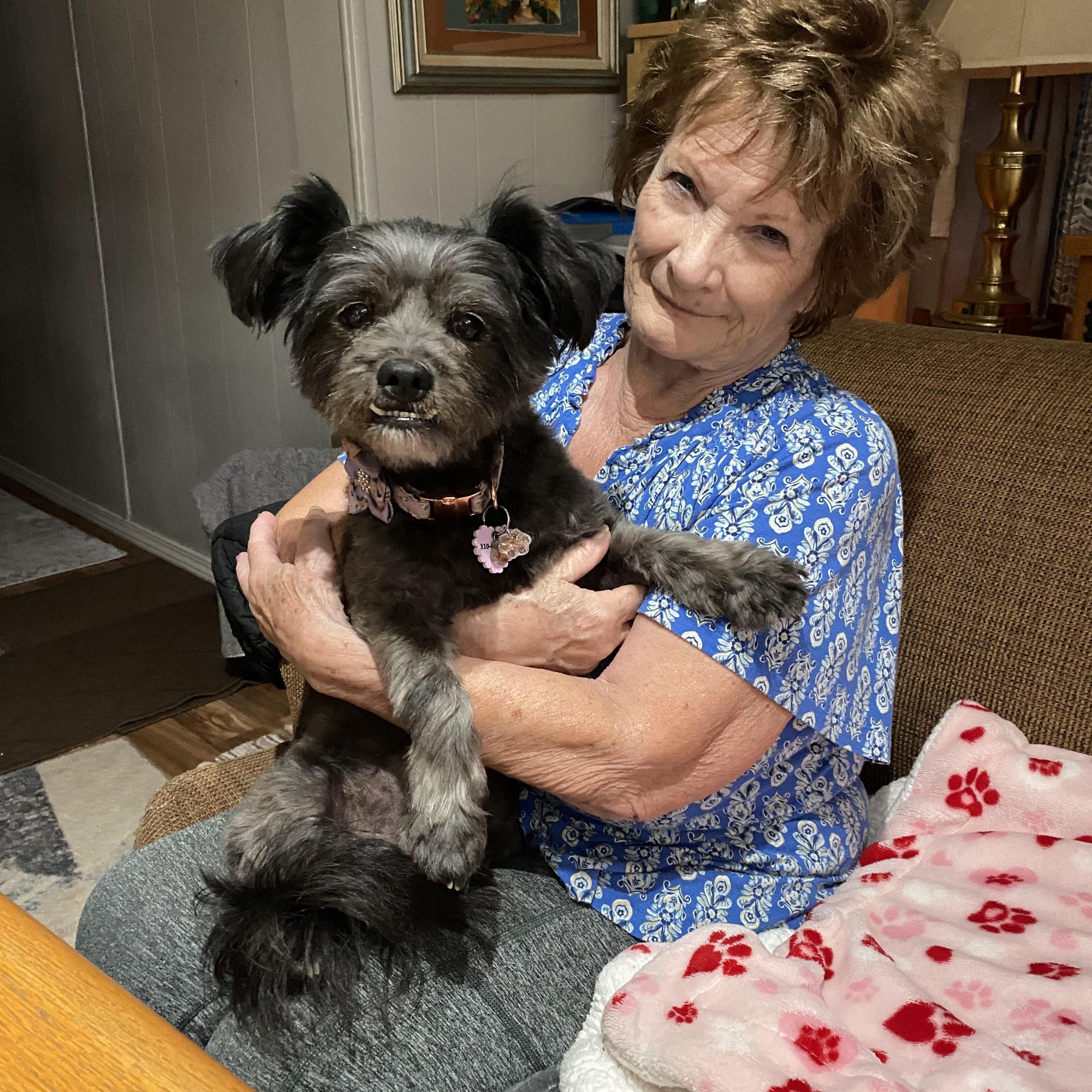 Enlarge Layla, a Adoptable mixed breed in Edgewood, NM image 4/6