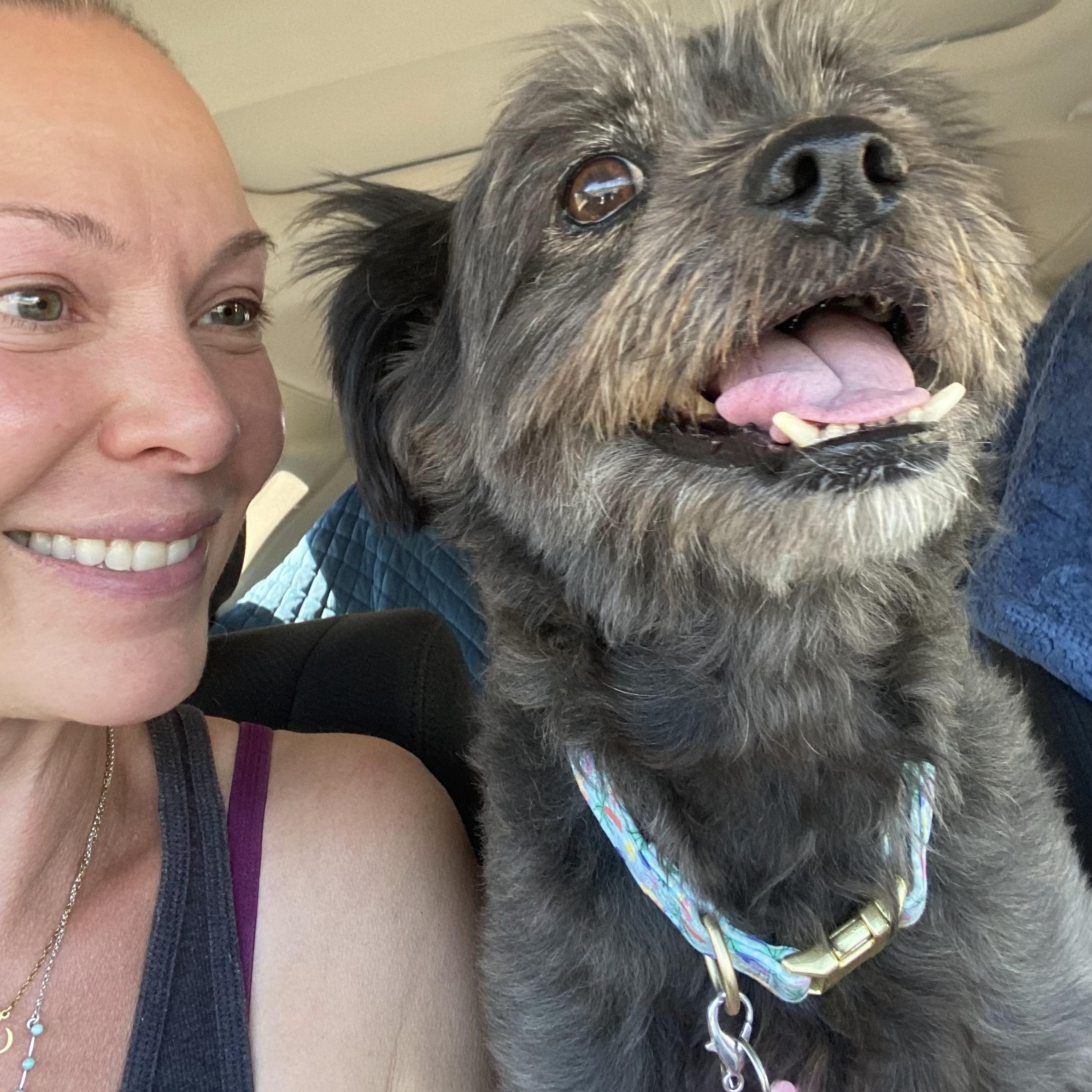 Enlarge Layla, a Adoptable mixed breed in Edgewood, NM image 6/6