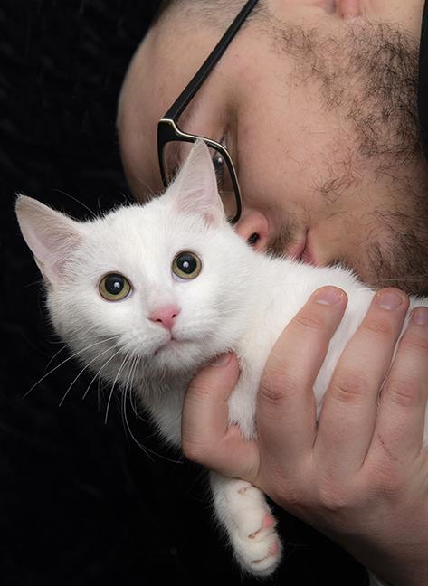 Enlarge Ariel and Marie, a ADOPTABLE Domestic Short Hair in Chicago, IL image 6/6