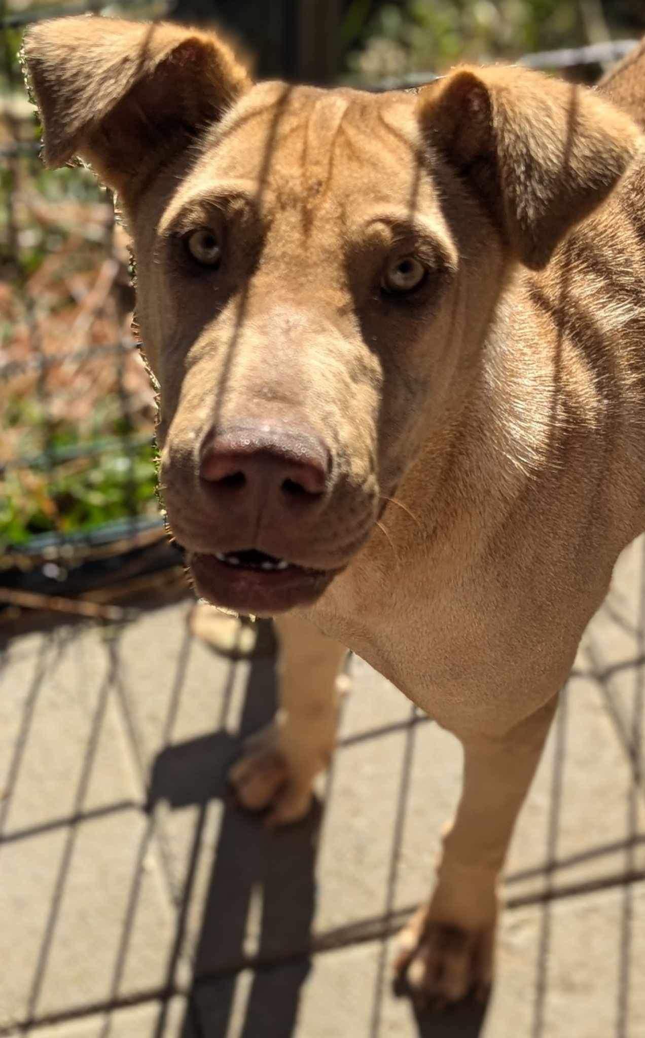 Rosie Wrinkles 3