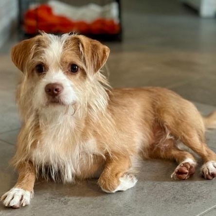 Stefano — thumbnail 2