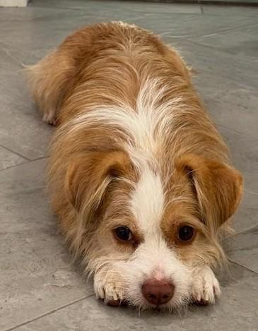 Stefano — thumbnail 3