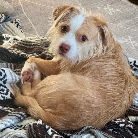 Stefano — thumbnail 5