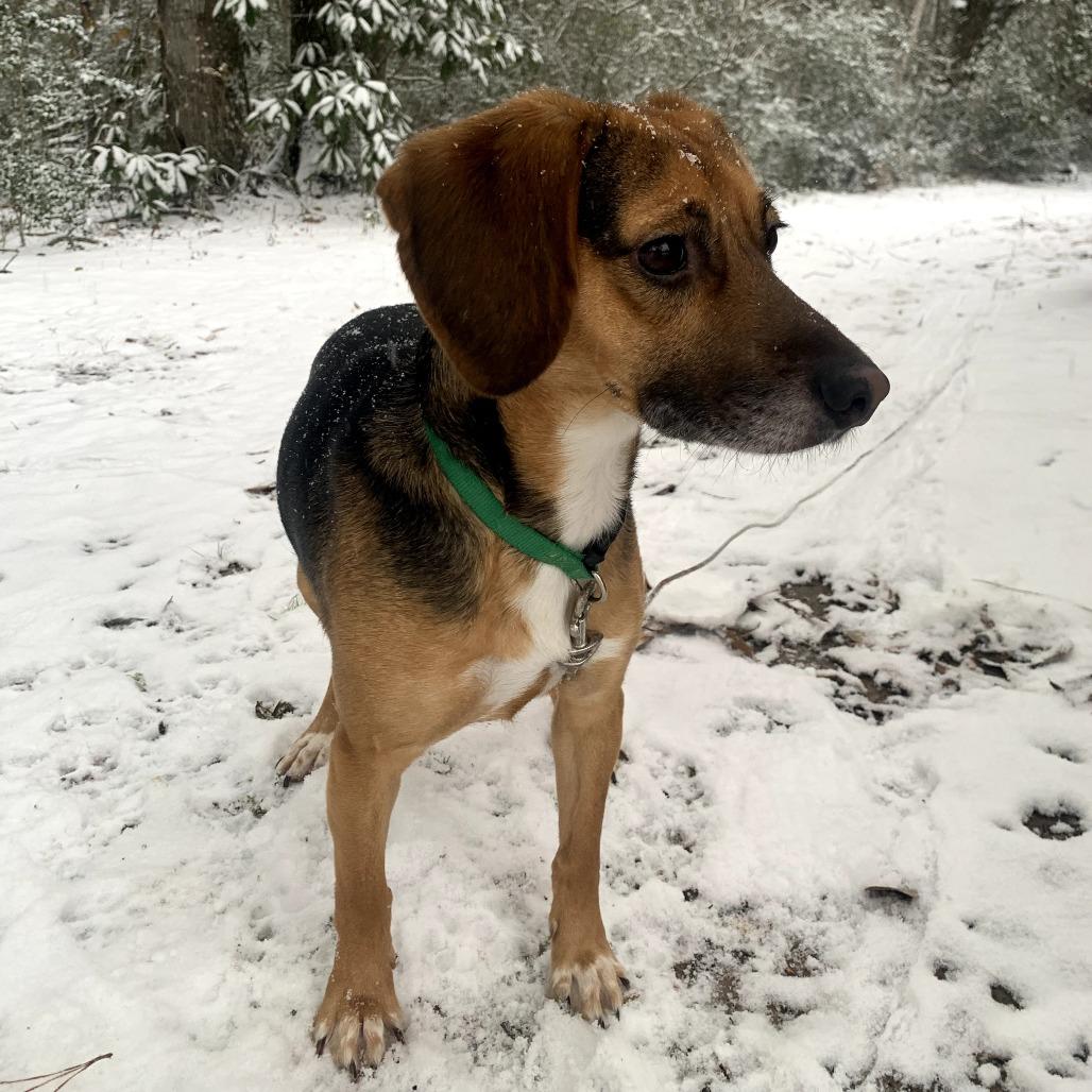 Finley — thumbnail 2