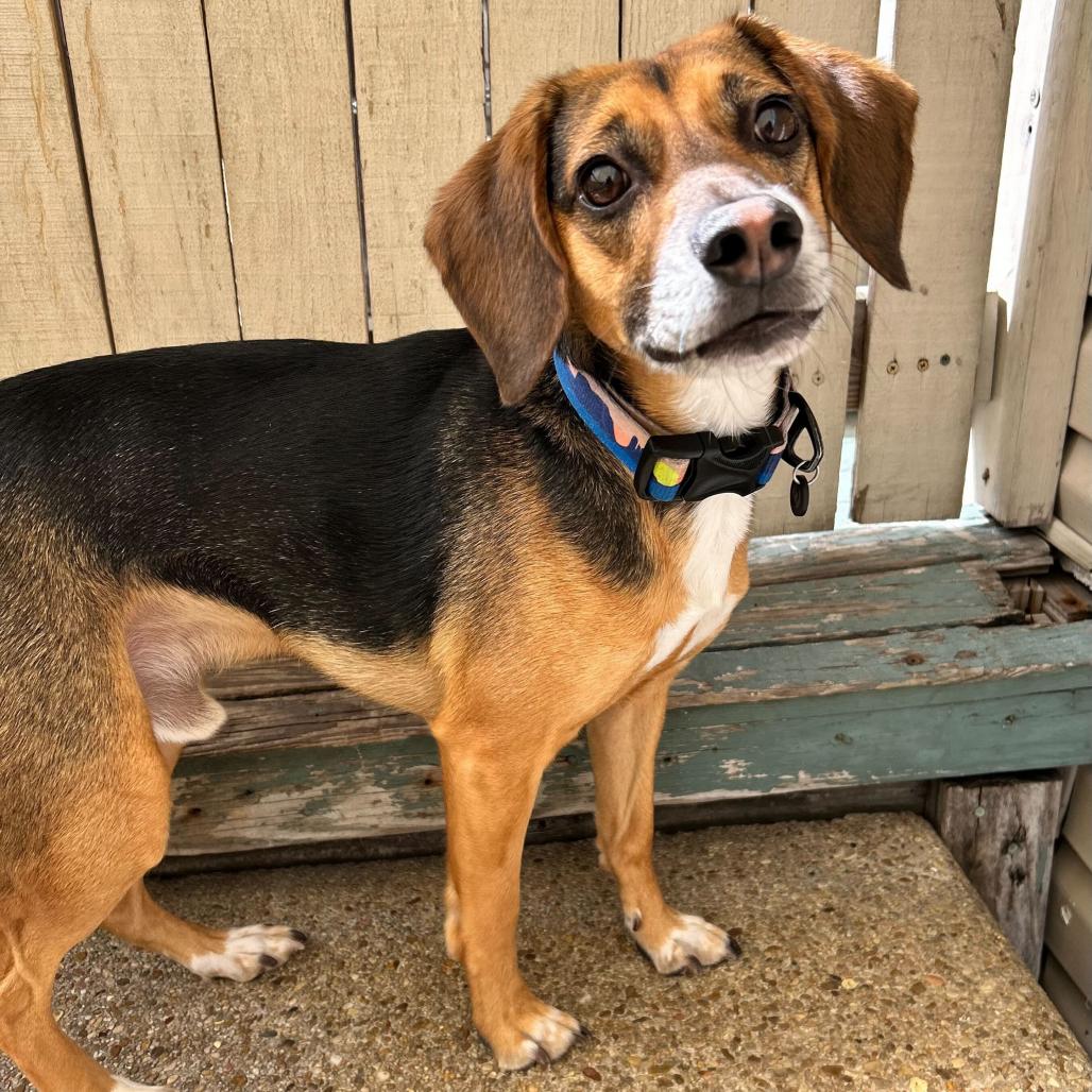 Finley — thumbnail 4