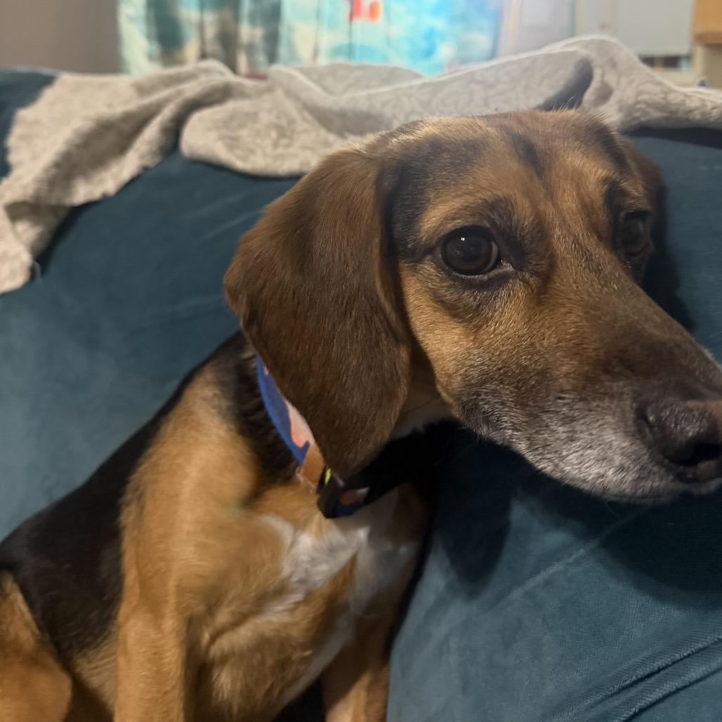 Finley — thumbnail 5