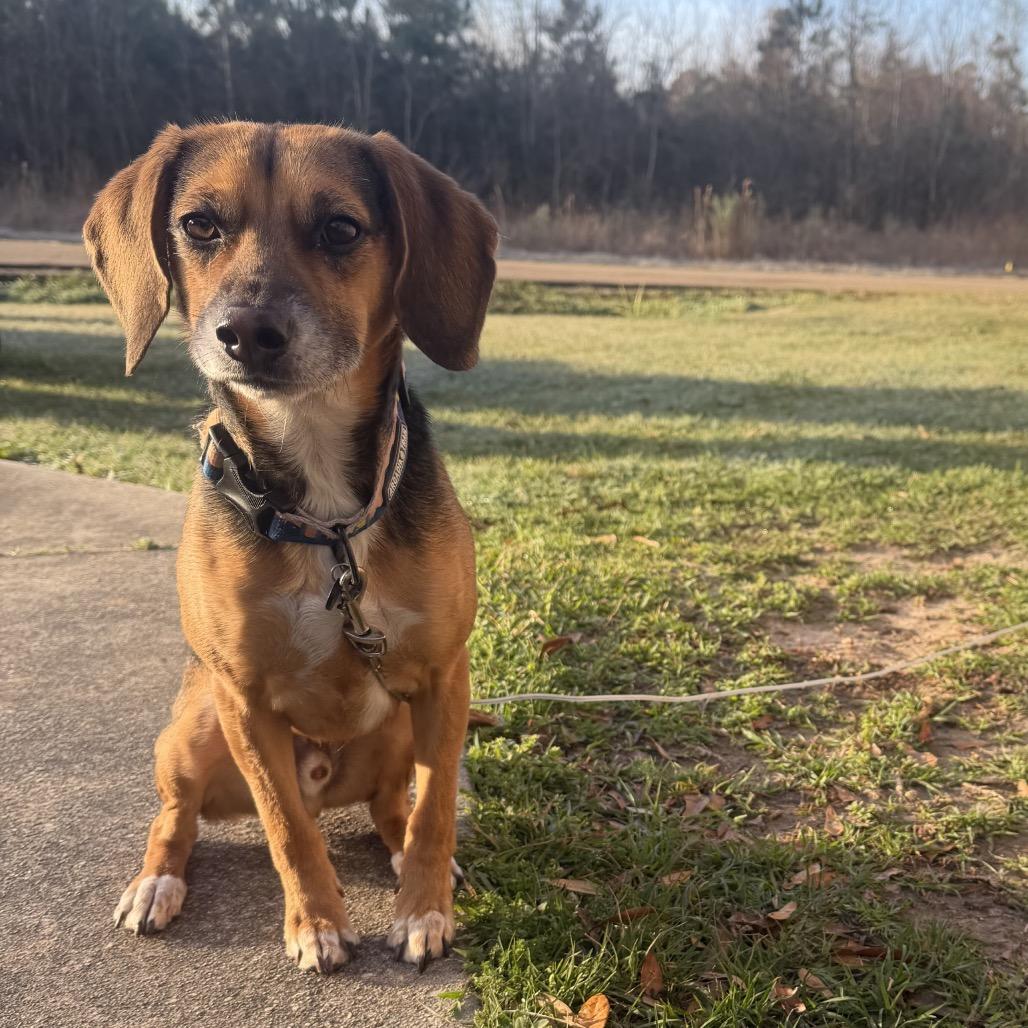 Finley — thumbnail 6