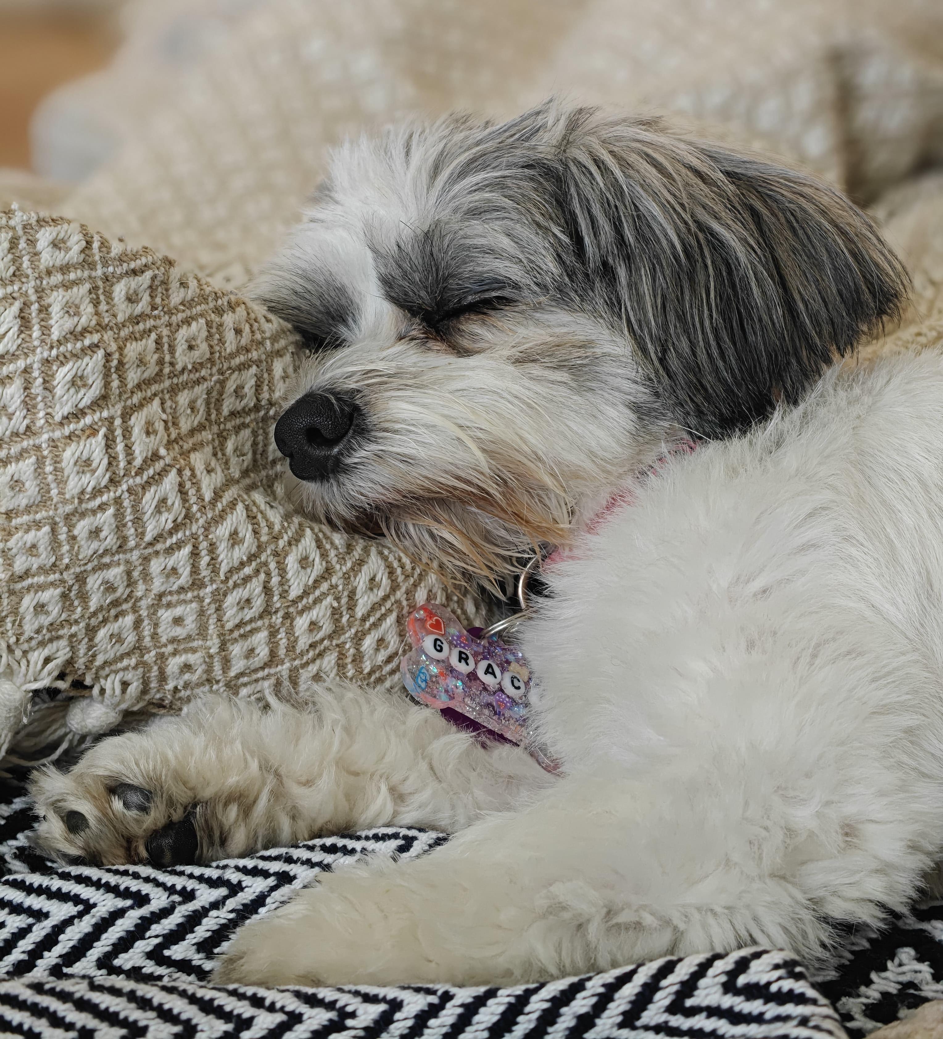 Gracie