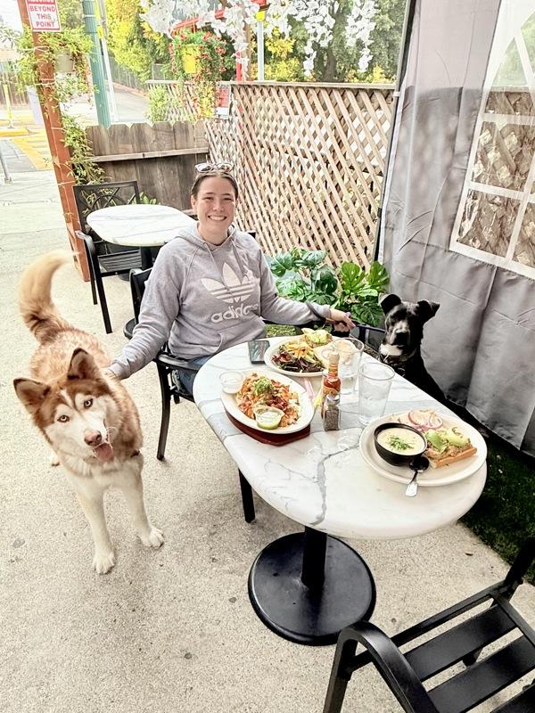 Enlarge Odin, a Adoptable mixed breed in Vallejo, CA image 6/6