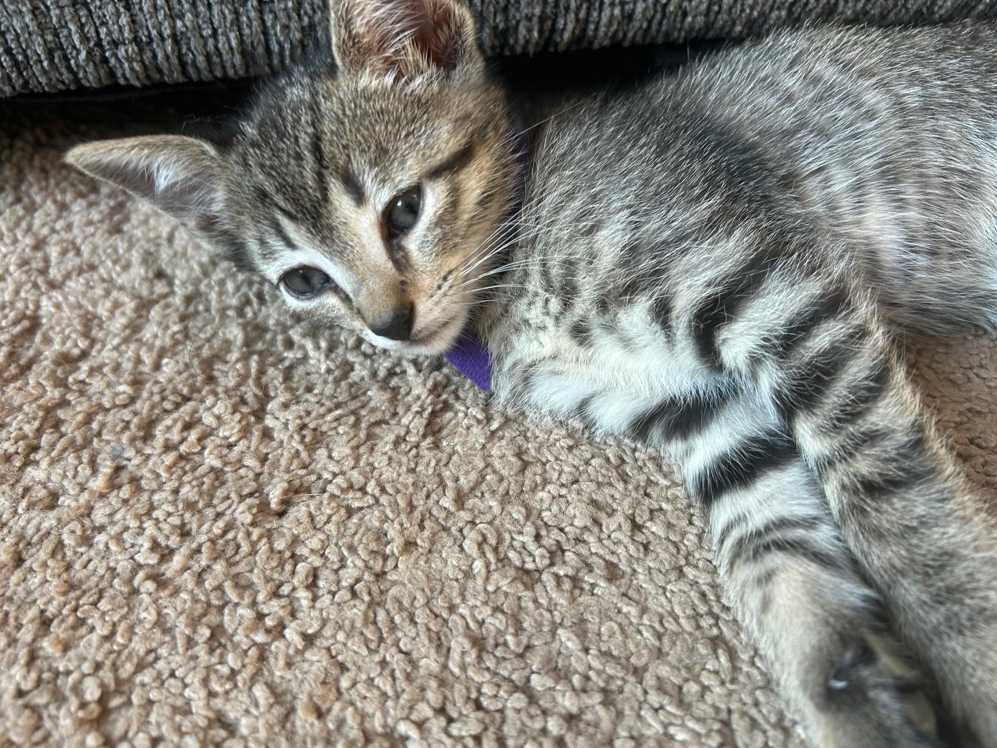 Duplicate thumbnail 3