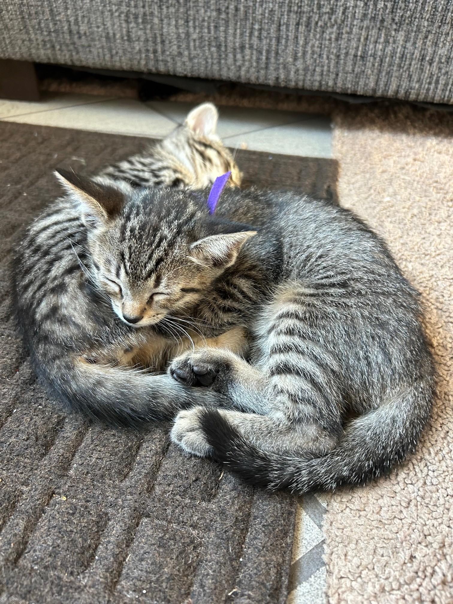 Duplicate thumbnail 4