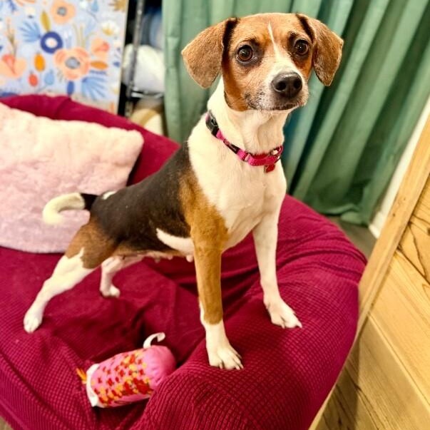 Katniss Everdeen the Ever so Fabulous Cutie