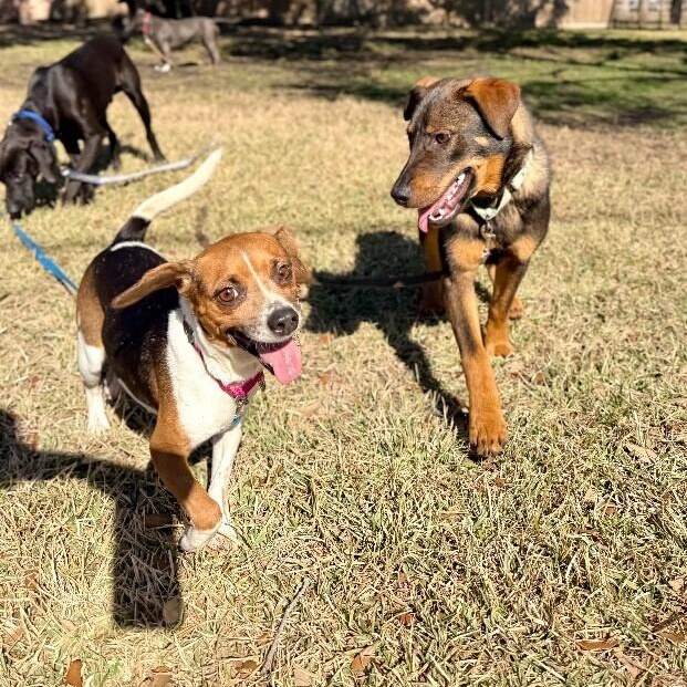 Katniss Everdeen the Ever so Fabulous Cutie — thumbnail 2