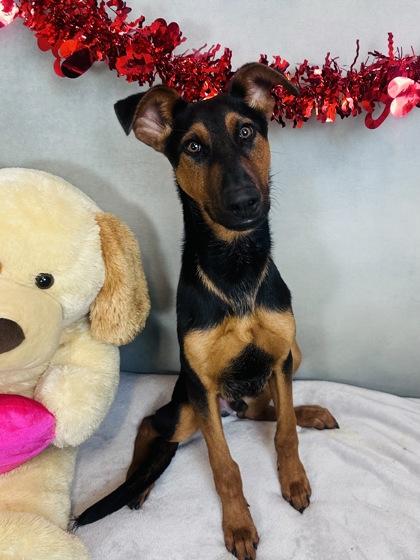 Jackson — thumbnail 2