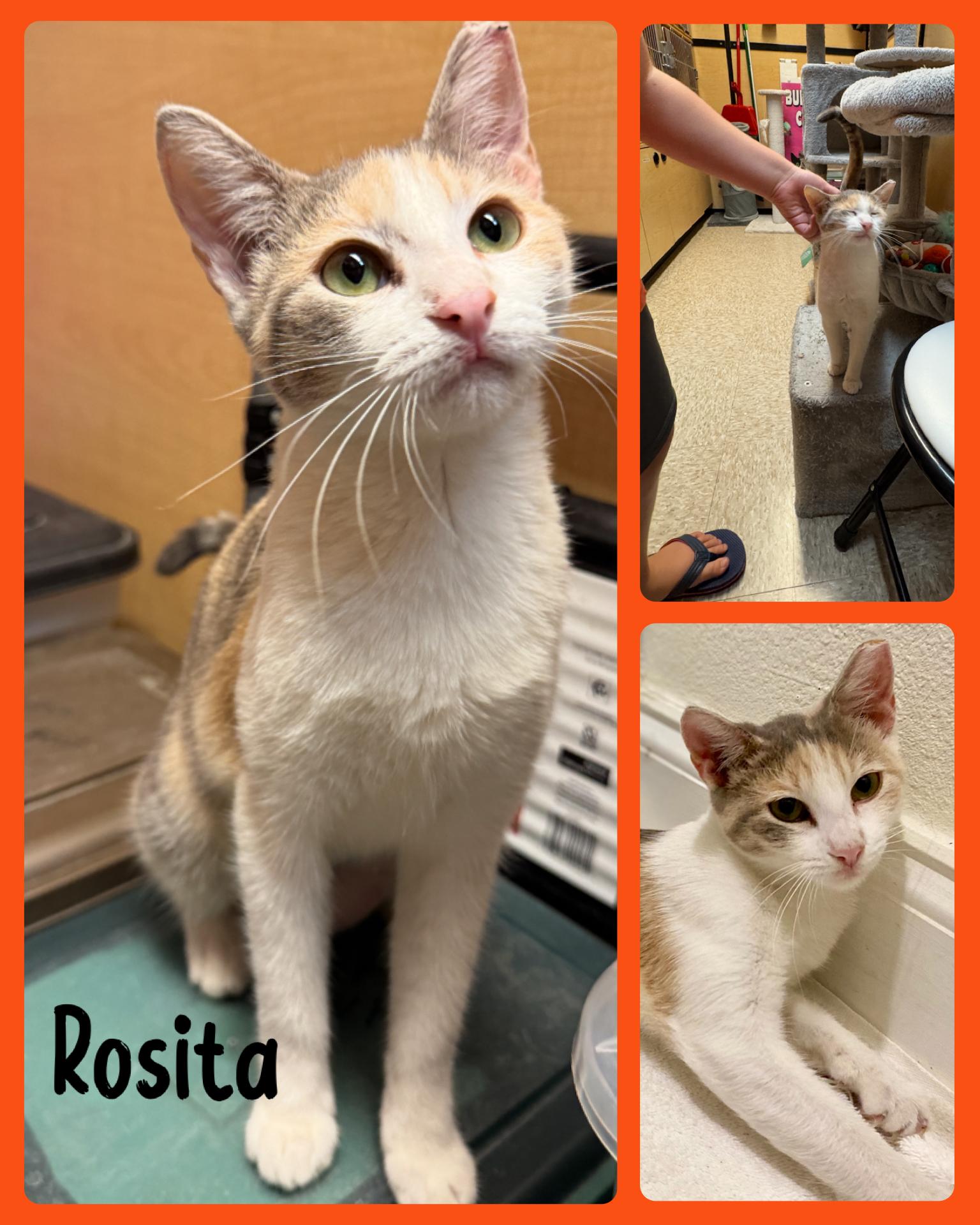 Rosita