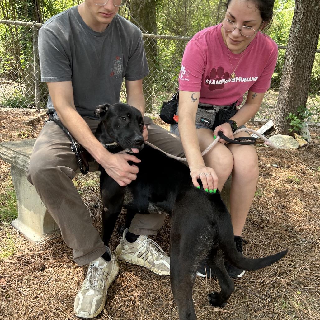 Frisky 8801 — thumbnail 2