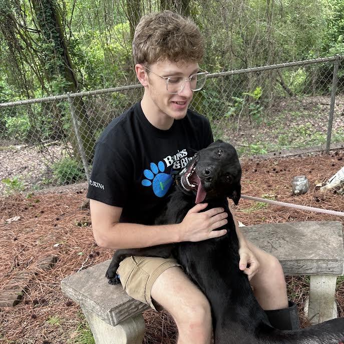 Frisky 8801 — thumbnail 6