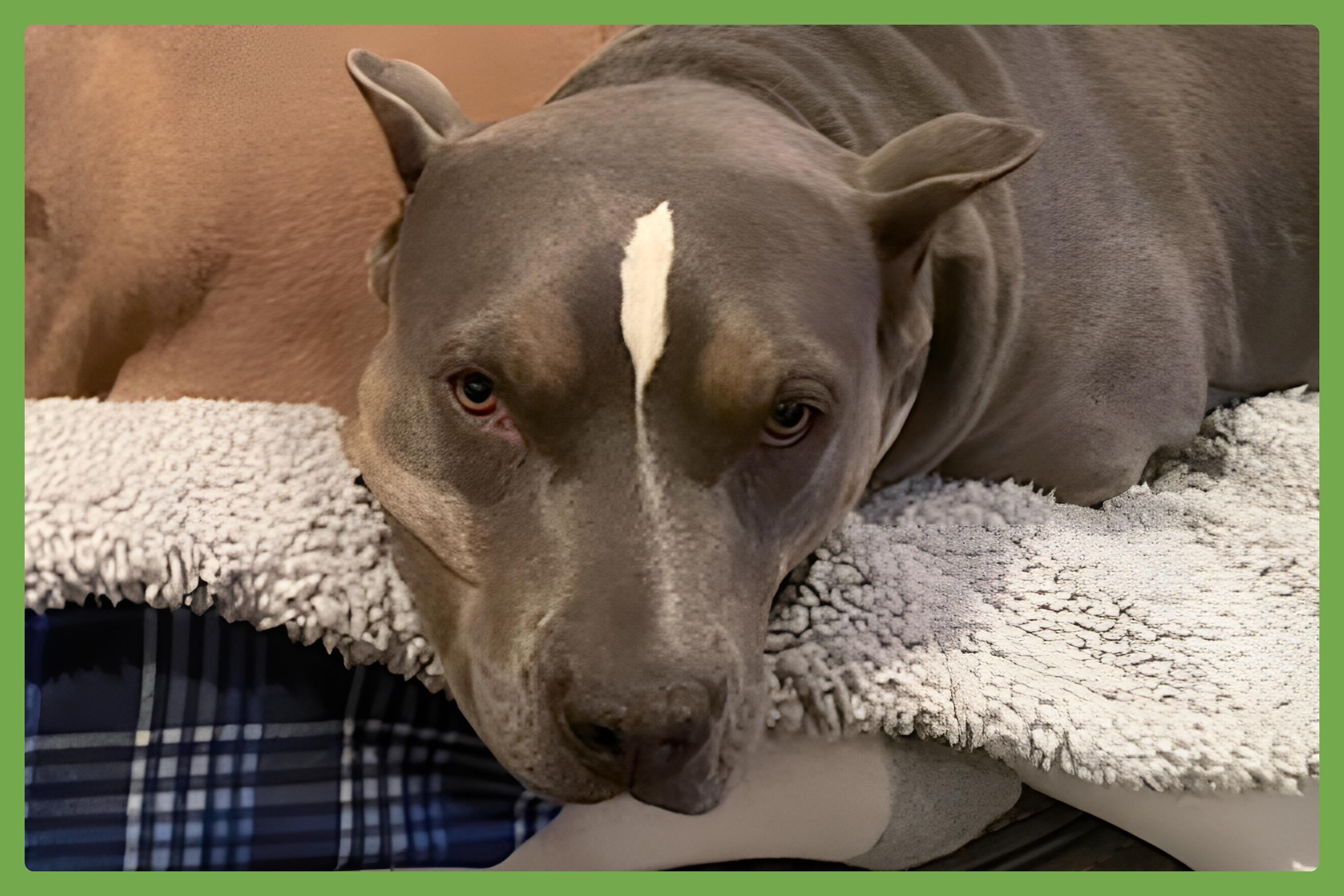 Neela — thumbnail 2