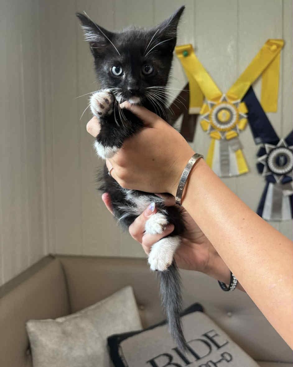 Huey  - In Foster