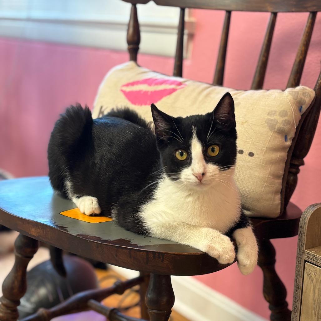 Slim Shady thumbnail 4