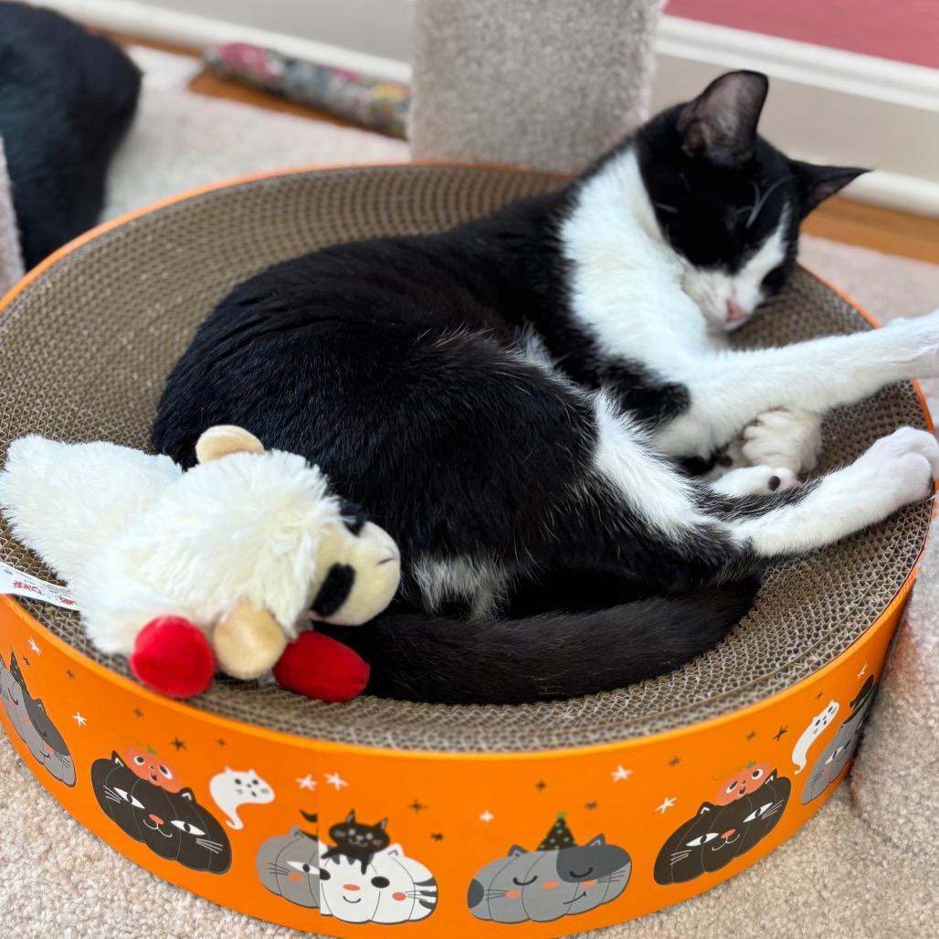 Slim Shady thumbnail 6