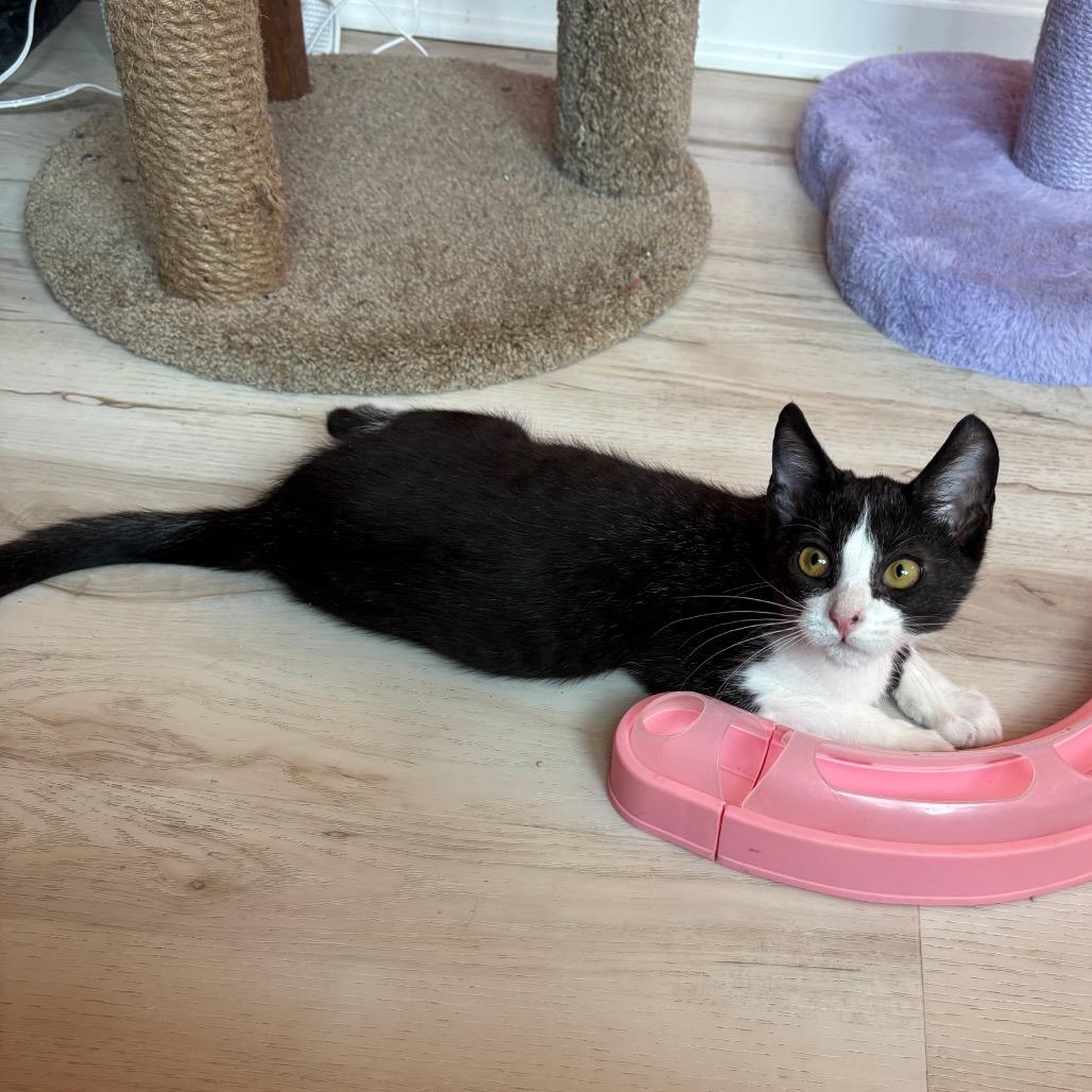 Slim Shady thumbnail 7