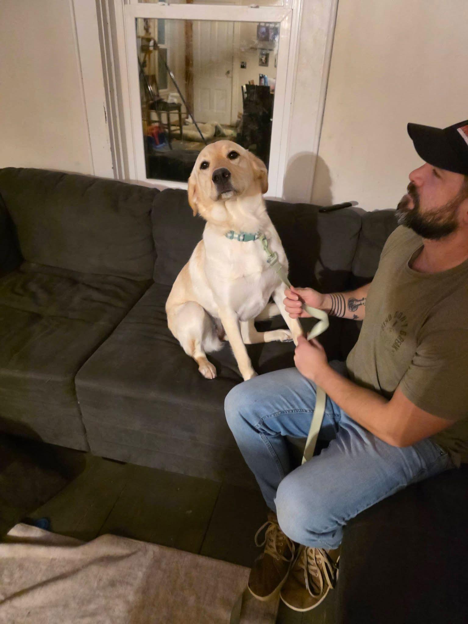 Enlarge Daisy, a Adoptable mixed breed in New London, WI image 2/3