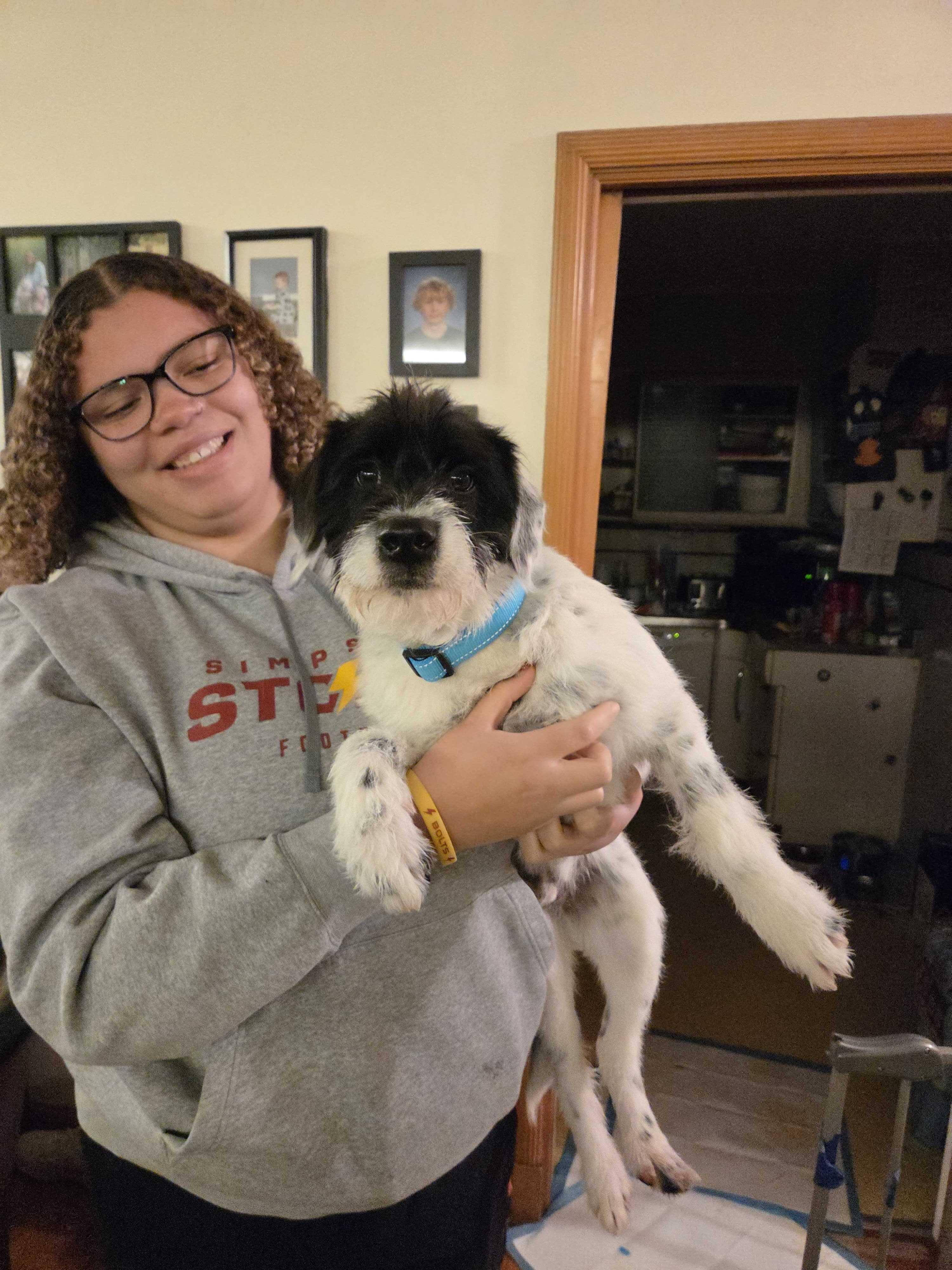 Enlarge Buzz, a ADOPTABLE Mixed Breed in Cedar Rapids, IA image 2/5