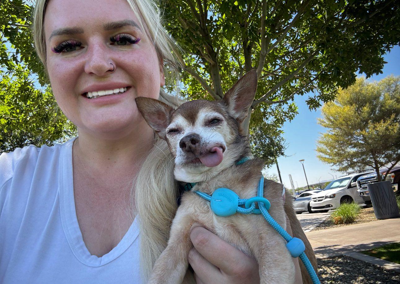 Randall, a Adopted mixed breed in Goodyear, AZ image 5/6
