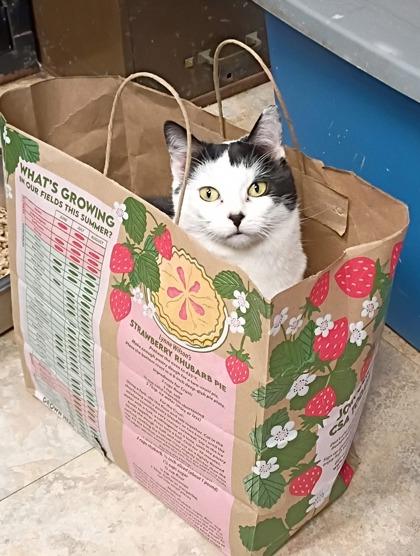 Welcome — thumbnail 3