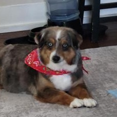 Gretchen — thumbnail 4