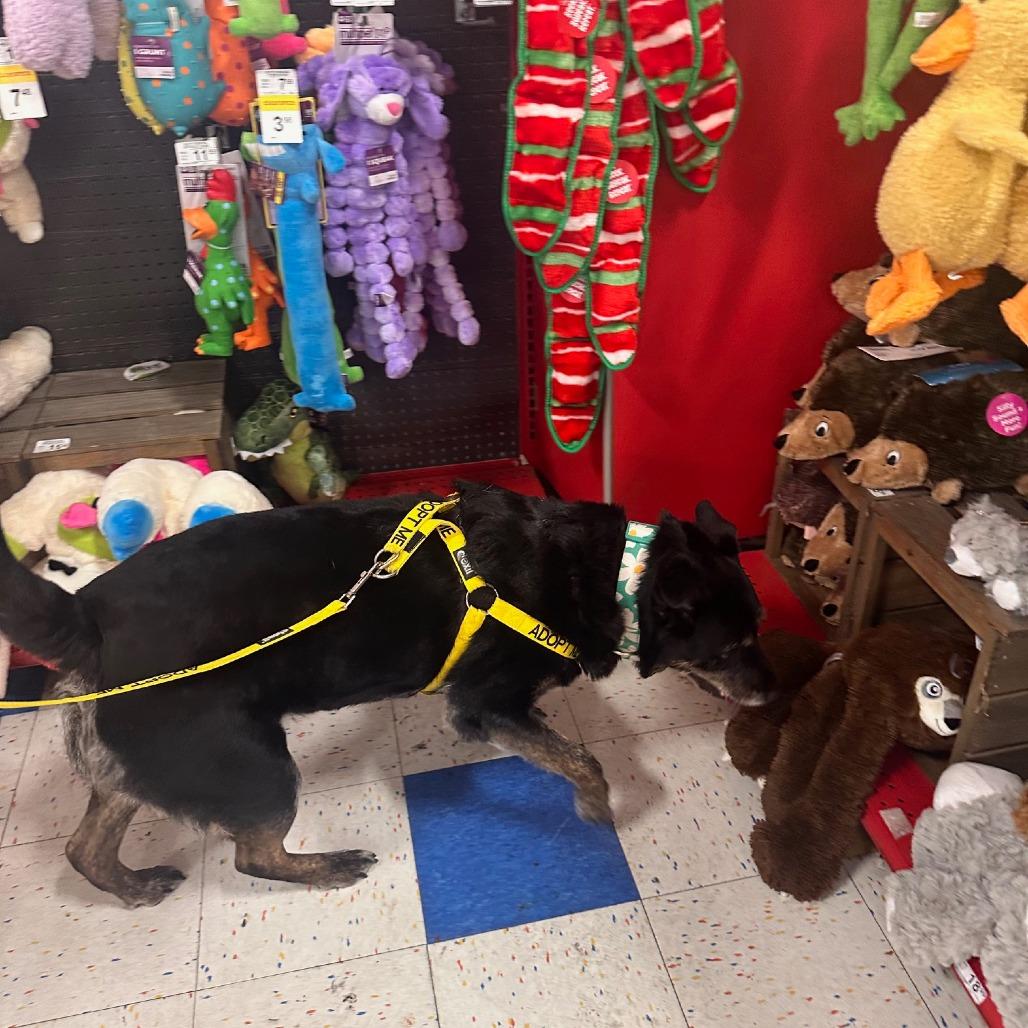 Mercedes — thumbnail 2