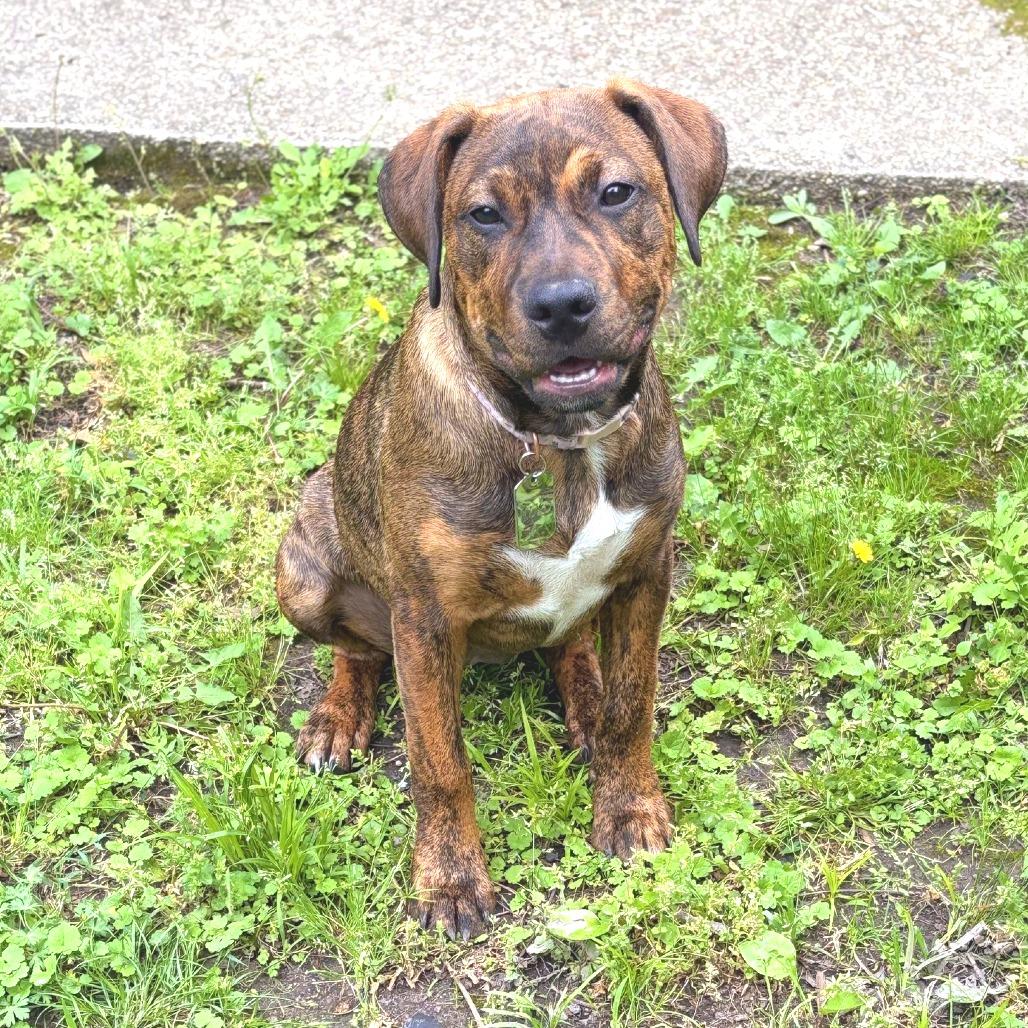 Penelope — thumbnail 2