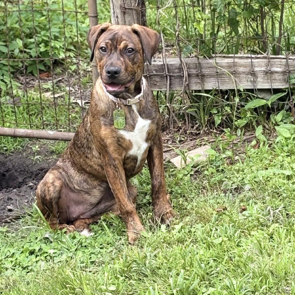 Penelope — thumbnail 3