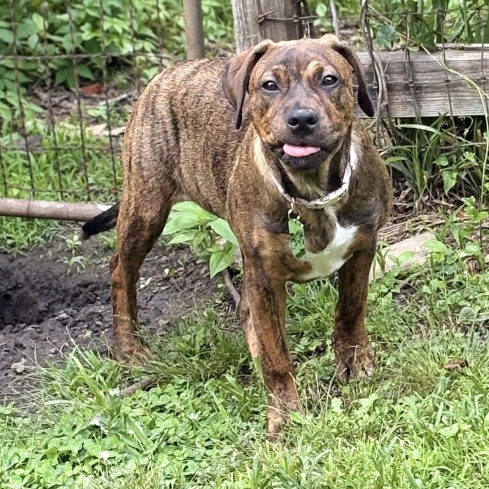 Penelope — thumbnail 5