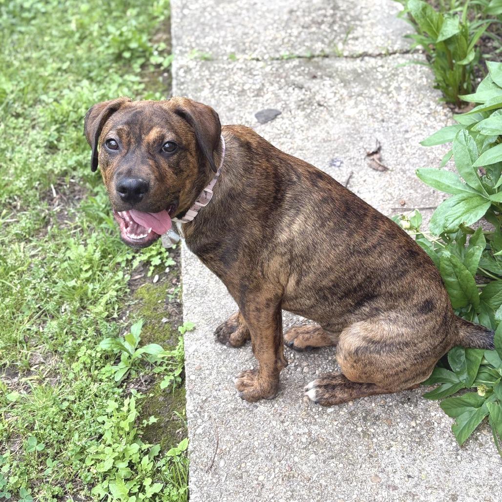 Penelope — thumbnail 6